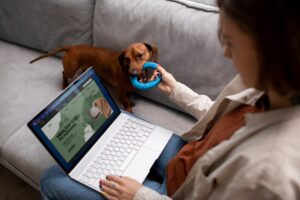 Brain Training for Dogs U.S. Dog Intelligence Training Course