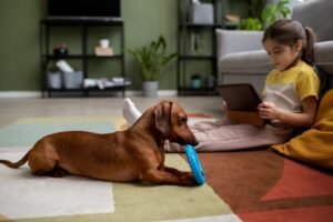 Brain Training for Dogs U.S. Dog Intelligence Training Course