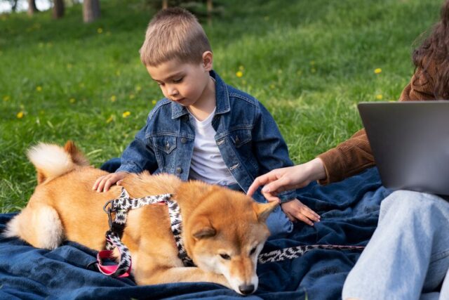 Brain Training for Dogs U.S. Dog Intelligence Training Course
